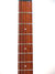 Rickenbacker 350/6 V63, Mapleglo: Neck - Front