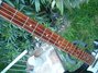 Rickenbacker 4001/4 C64, Jetglo: Neck - Front