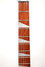 Rickenbacker 620/6 , Midnightblue: Neck - Front