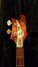 Rickenbacker 4003/4 , Fireglo: Headstock
