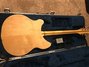 Rickenbacker 360/6 , Mapleglo: Full Instrument - Rear
