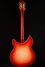 Rickenbacker 360/12 C63, Fireglo: Full Instrument - Rear