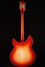 Rickenbacker 360/12 C63, Fireglo: Full Instrument - Rear