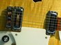 Rickenbacker 381/6 V69, Mapleglo: Close up - Free2