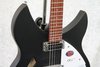 Rickenbacker 330/6 , Matte Black: Free image