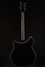 Rickenbacker 360/6 SPC, Jetglo: Full Instrument - Rear