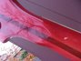 Rickenbacker 4001/4 , Fireglo: Close up - Free2