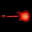 Rickenbacker 360/6 Mod, Fireglo: Full Instrument - Rear
