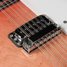 Rickenbacker 330/12 , Fireglo: Close up - Free