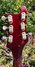 Rickenbacker 480/6 , Burgundy: Headstock - Rear