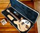 Rickenbacker 360/6 , Mapleglo: Free image2