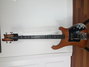 Rickenbacker 4002/4 , Autumnglo: Full Instrument - Front
