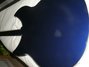 May 2010 Rickenbacker 330/6 , Midnightblue: Body - Rear