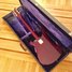 Rickenbacker 480/6 Mod, Burgundy: Full Instrument - Rear