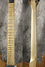 Rickenbacker 650/6 Dakota, Natural Walnut: Neck - Front
