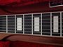 Rickenbacker SW/8 LapSteel, Gray: Close up - Free2