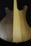 Jan 2017 Rickenbacker 4003/4 , Natural Walnut: Body - Rear