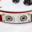 Rickenbacker 620/6 , Fireglo: Close up - Free
