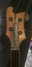 Rickenbacker 4001/4 Mod, Mapleglo: Headstock