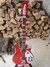 Rickenbacker 620/6 SPC, Alarm Red: Full Instrument - Front
