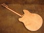 Rickenbacker 360/12 , Mapleglo: Full Instrument - Rear
