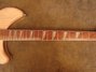 Rickenbacker 360/12 , Mapleglo: Neck - Front