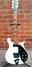 Rickenbacker 620/6 BH BT, White: Full Instrument - Front
