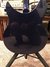 Oct 2011 Rickenbacker 330/6 , Midnightblue: Body - Rear