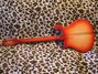 Rickenbacker 620/6 , Fireglo: Full Instrument - Rear
