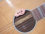 Rickenbacker 700/12 Shasta, Mapleglo: Free image2