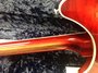 Rickenbacker 360/6 CW, Fireglo: Full Instrument - Rear