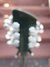 Rickenbacker 320/12 V63, Jetglo: Headstock - Rear
