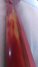 Rickenbacker 330/6 , Fireglo: Neck - Rear