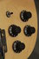Rickenbacker 2030/4 Mod, Mapleglo: Free image