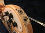 Rickenbacker 4003/4 , Mapleglo: Close up - Free