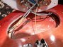 Rickenbacker 365/6 , Fireglo: Close up - Free