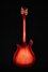 Rickenbacker 660/12 TP, Fireglo: Full Instrument - Rear