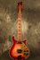 Rickenbacker 660/12 TP, Fireglo: Full Instrument - Front