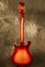 Rickenbacker 660/12 TP, Fireglo: Full Instrument - Rear