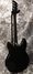 Rickenbacker 330/6 , Jetglo: Full Instrument - Rear