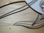Rickenbacker 330/6 , Mapleglo: Close up - Free