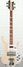 Rickenbacker 4003/4 , Mapleglo: Full Instrument - Front