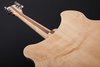 Rickenbacker 360/12 , Mapleglo: Full Instrument - Rear