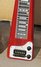 Rickenbacker 100/6 LapSteel, Burgundy: Free image