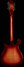 Rickenbacker 660/12 TP, Fireglo: Full Instrument - Rear