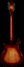 Rickenbacker 660/12 TP, Fireglo: Full Instrument - Rear