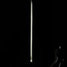 Rickenbacker 4003/4 , Jetglo: Neck - Rear