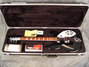 Rickenbacker 360/6 , Jetglo: Free image