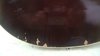Aug 1981 Rickenbacker 360/6 , Burgundy: Body - Rear