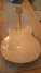 Rickenbacker 360/6 , Mapleglo: Full Instrument - Rear